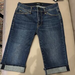 Women's Hudson Denim Long Shorts, 24